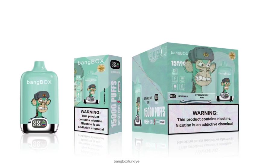 Bang Box Price - Bang Box 15000 nefes J4H2N439 çilek kivi