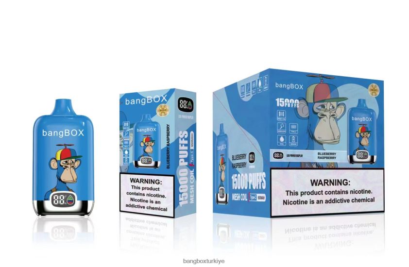 Bang Box Price - Bang Box 15000 nefes J4H2N446 yaban mersini ahududu