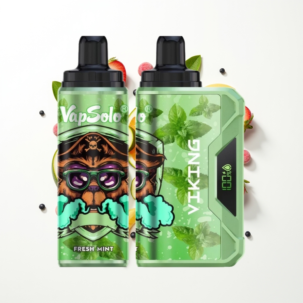 VapSolo VIKING 12000 Puffs Taze Nane 22ml Type-C