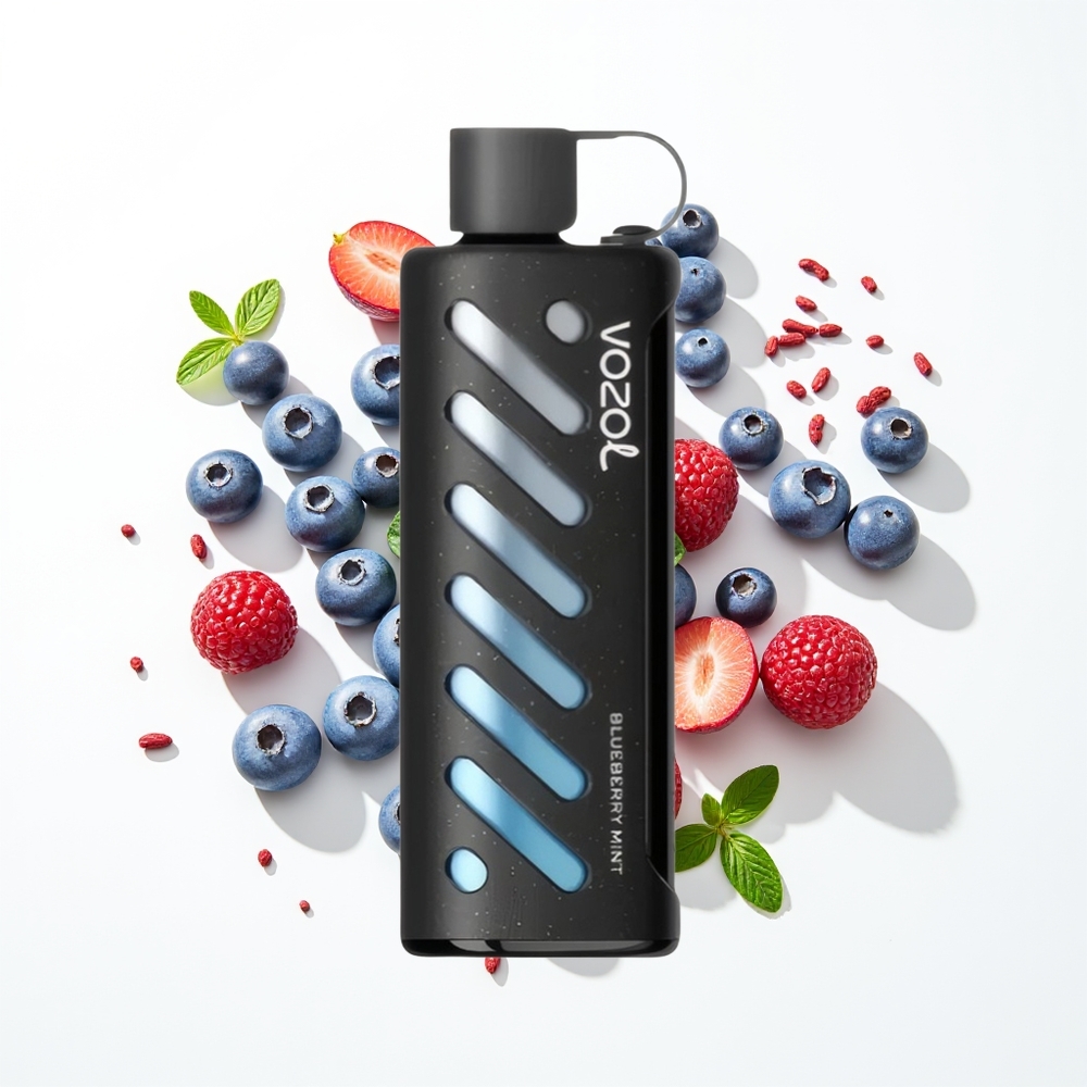 VOZOL Gear Shisha 25000 Puffs Yaban Mersini Naneli Çift Örgül Akıllı